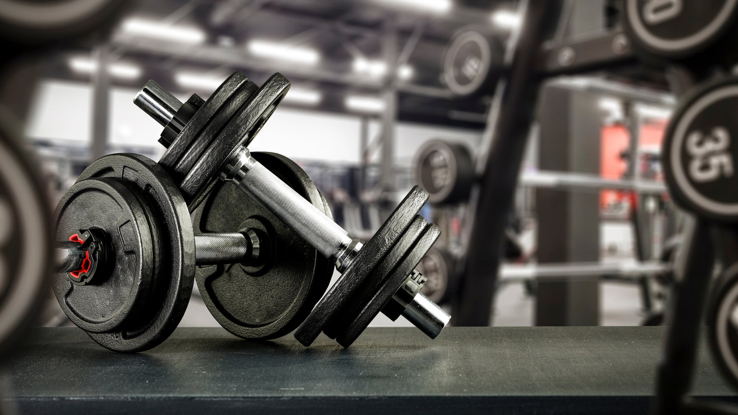 gym accessories